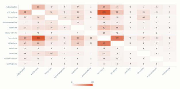 A heat-map matrix showing how themes such as radicalisation, extremism, terrorism and jihadism co-occur across articles